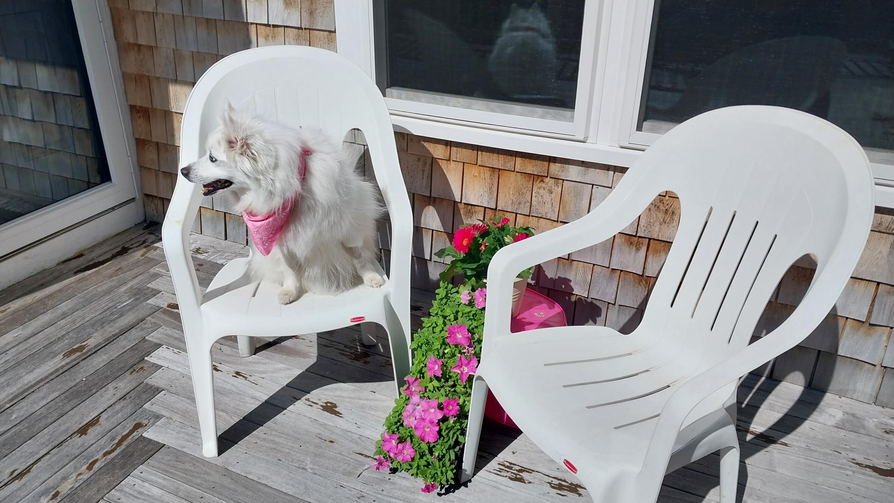 50 Designers Road Wellfleet MA 02667
