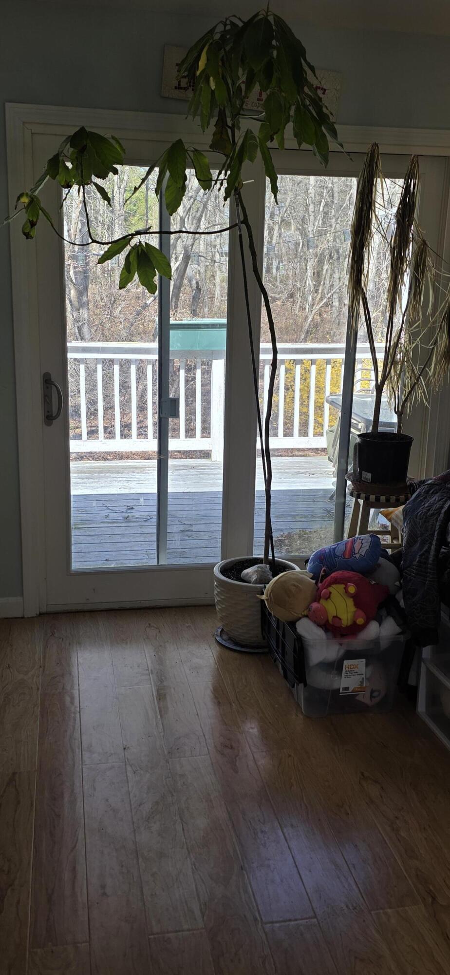 14 Norton Road Yarmouth MA 02673