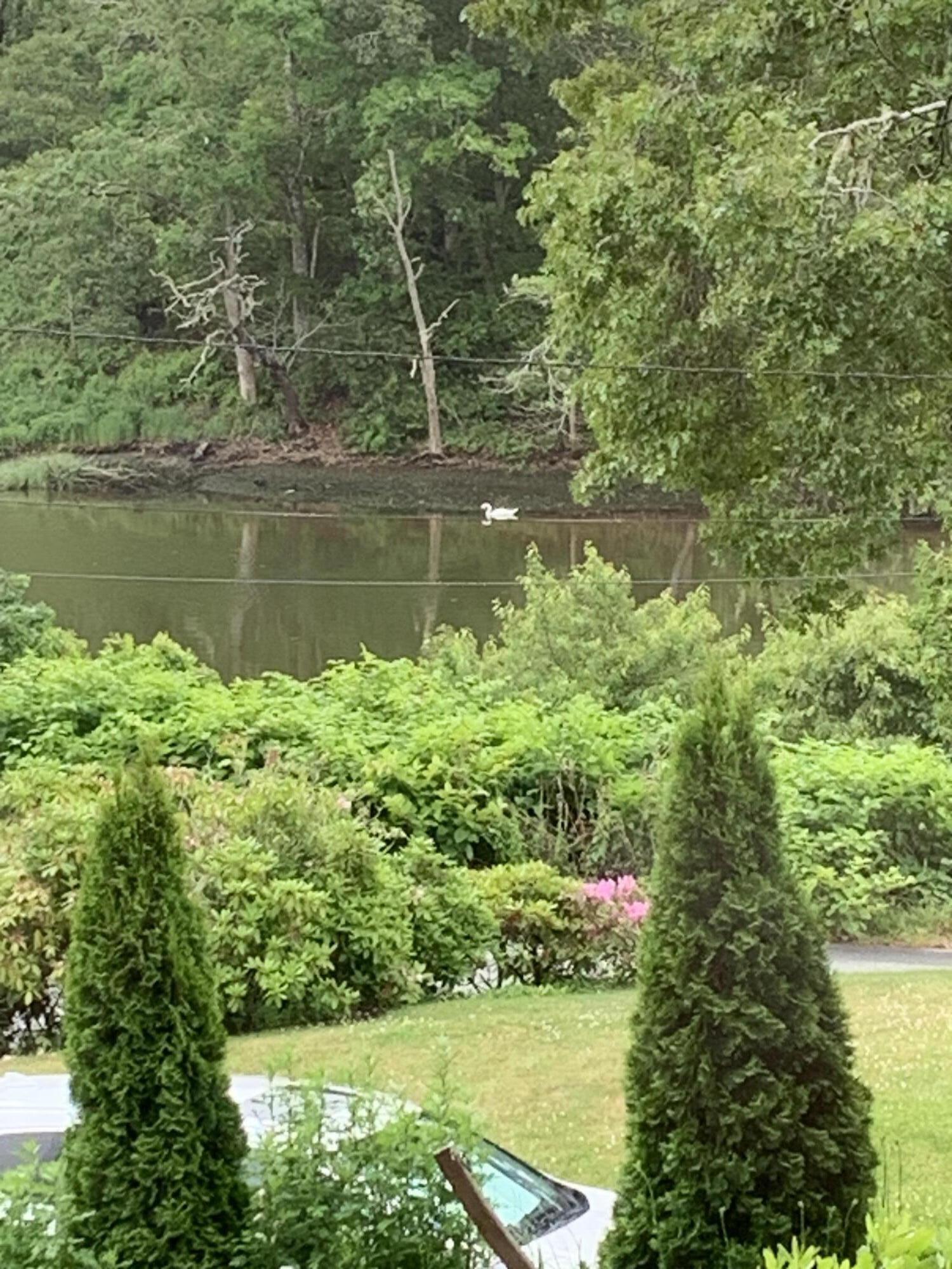 58 Sugar Hill Drive Harwich MA 02645