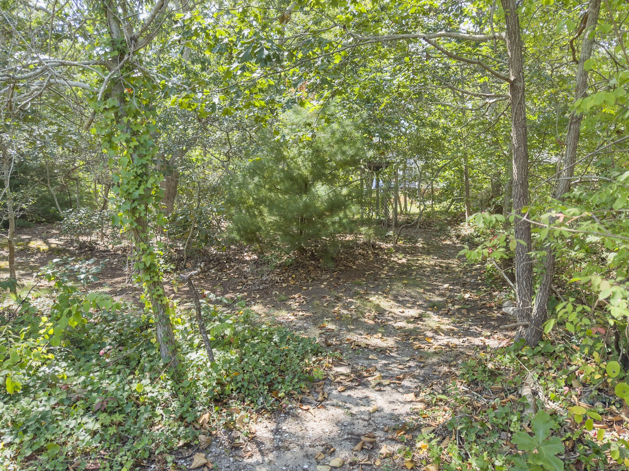 1295 Herring Brook Road Eastham MA 02642