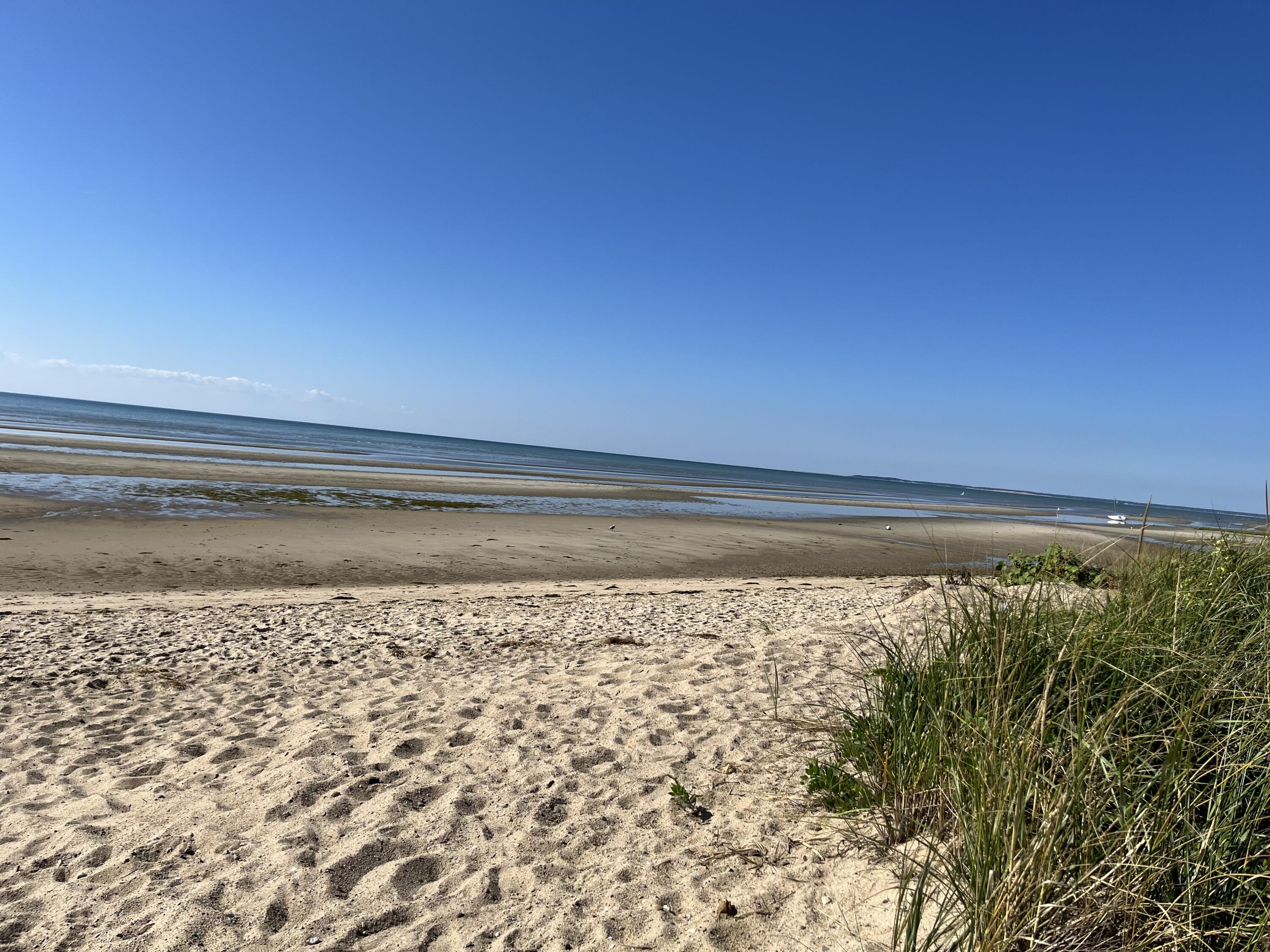 1295 Herring Brook Road Eastham MA 02642