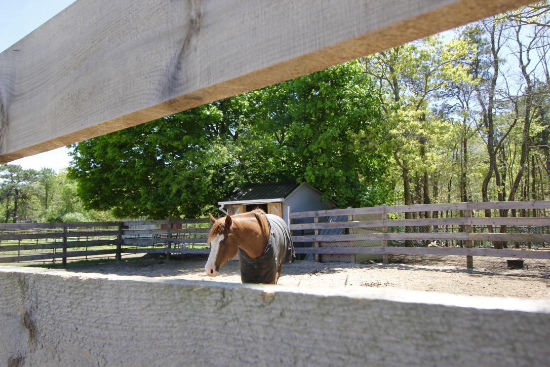 809 Sandwich Road East Falmouth MA 02536