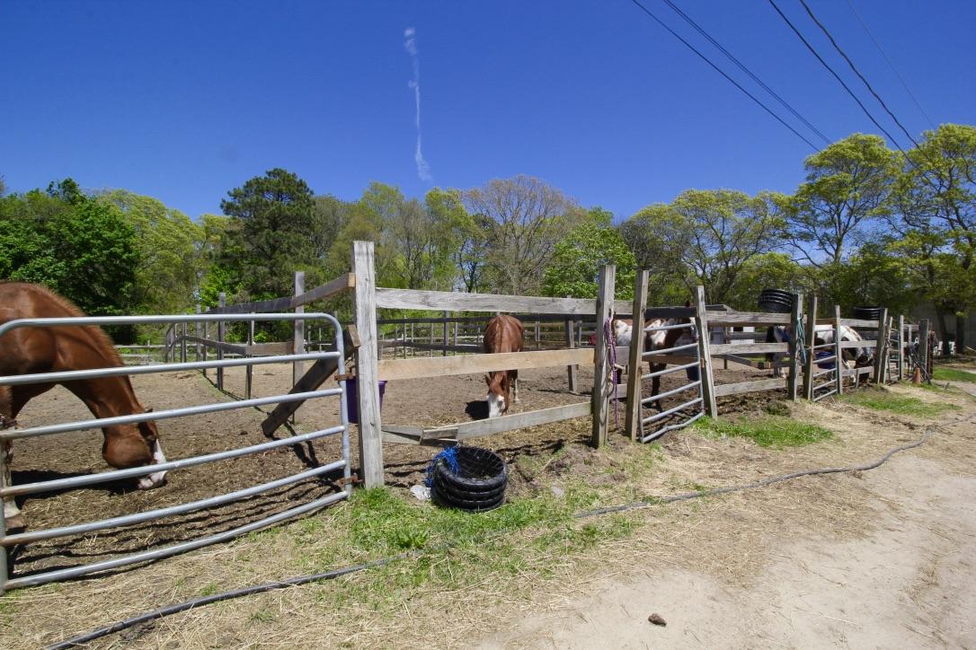 809 Sandwich Road East Falmouth MA 02536