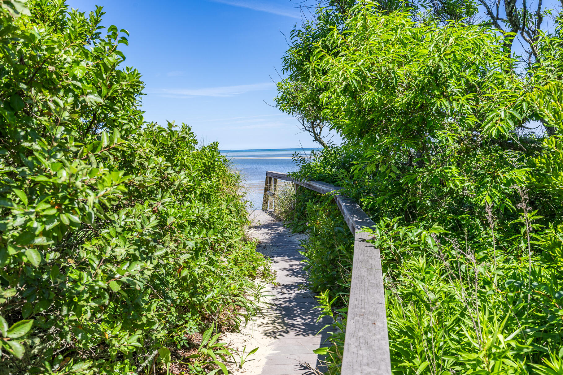 240 Robbins Hill Road Brewster MA 02631