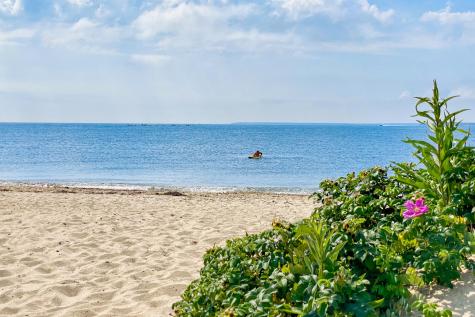 56 Field Street Falmouth MA 02540