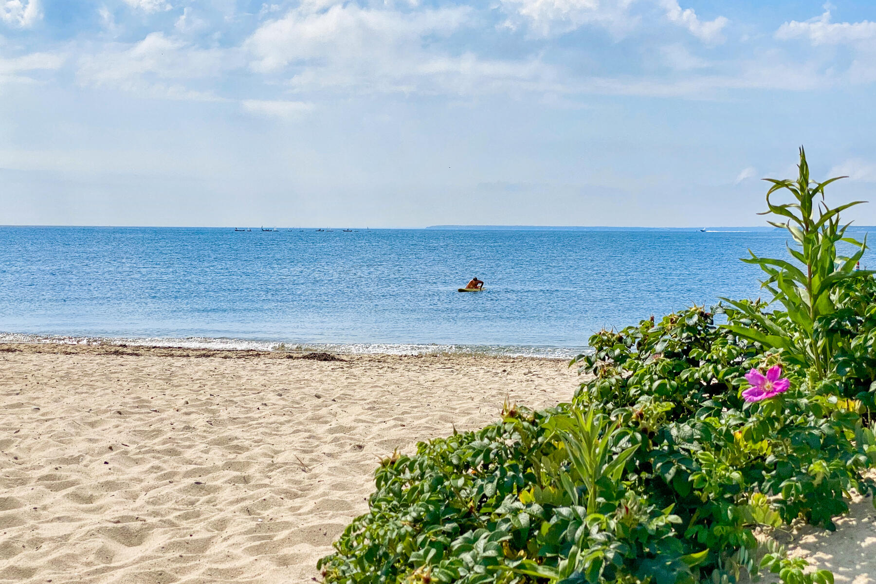56 Field Street Falmouth MA 02540