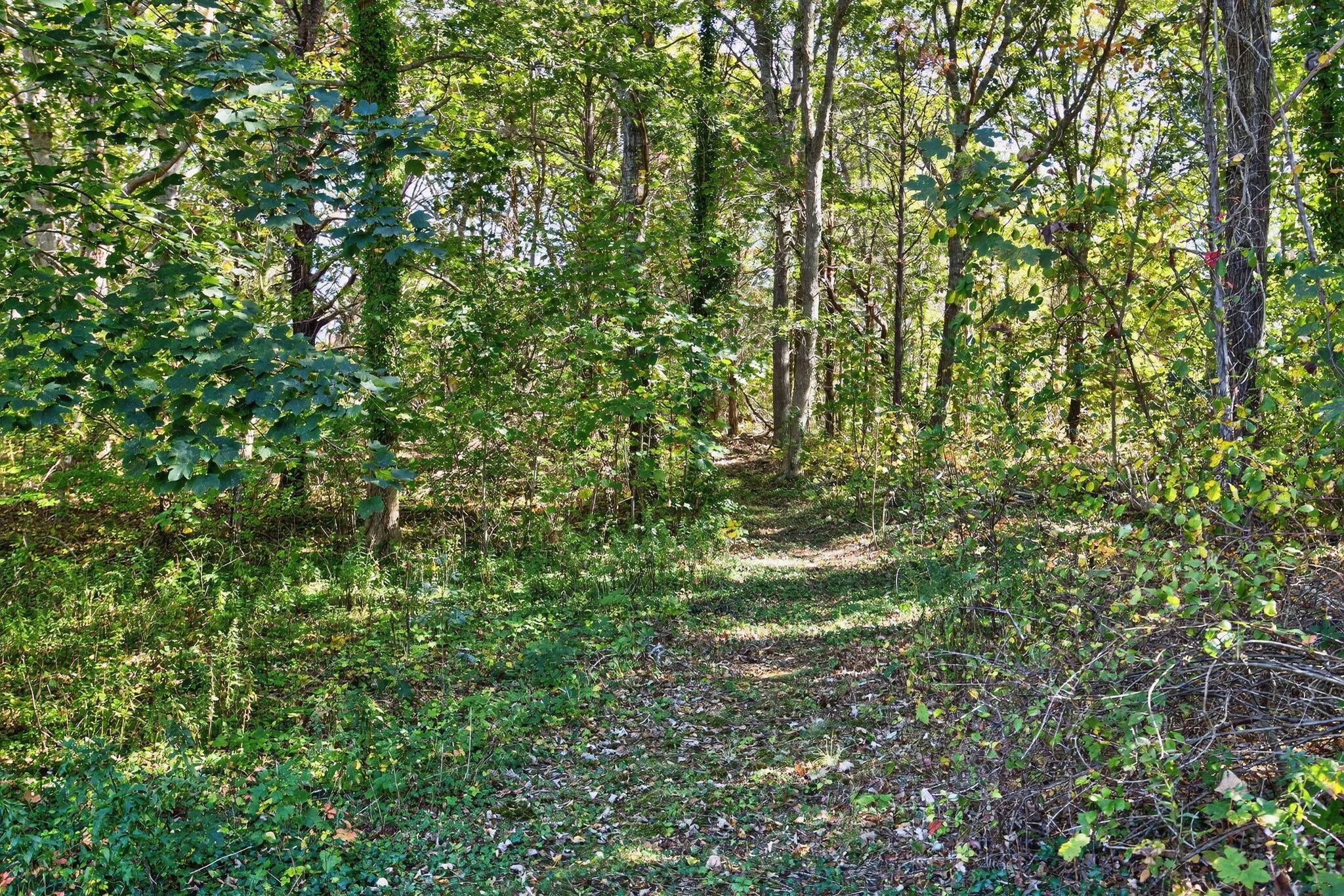 343 Tonset Road Orleans MA 02653