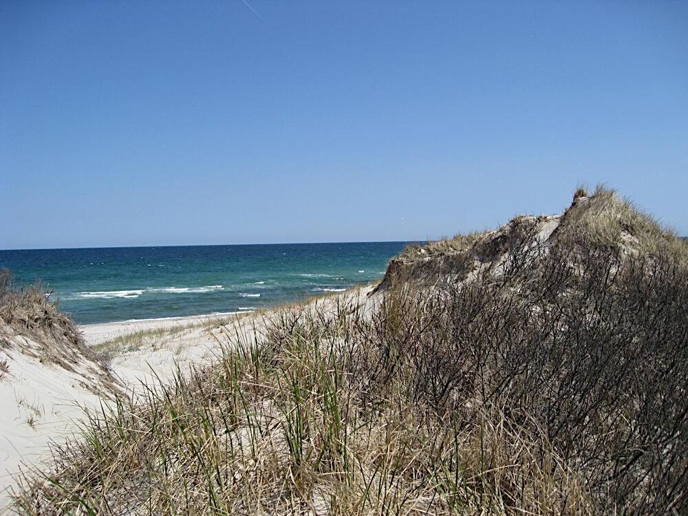 41 Cranberry Trail East Sandwich MA 02537