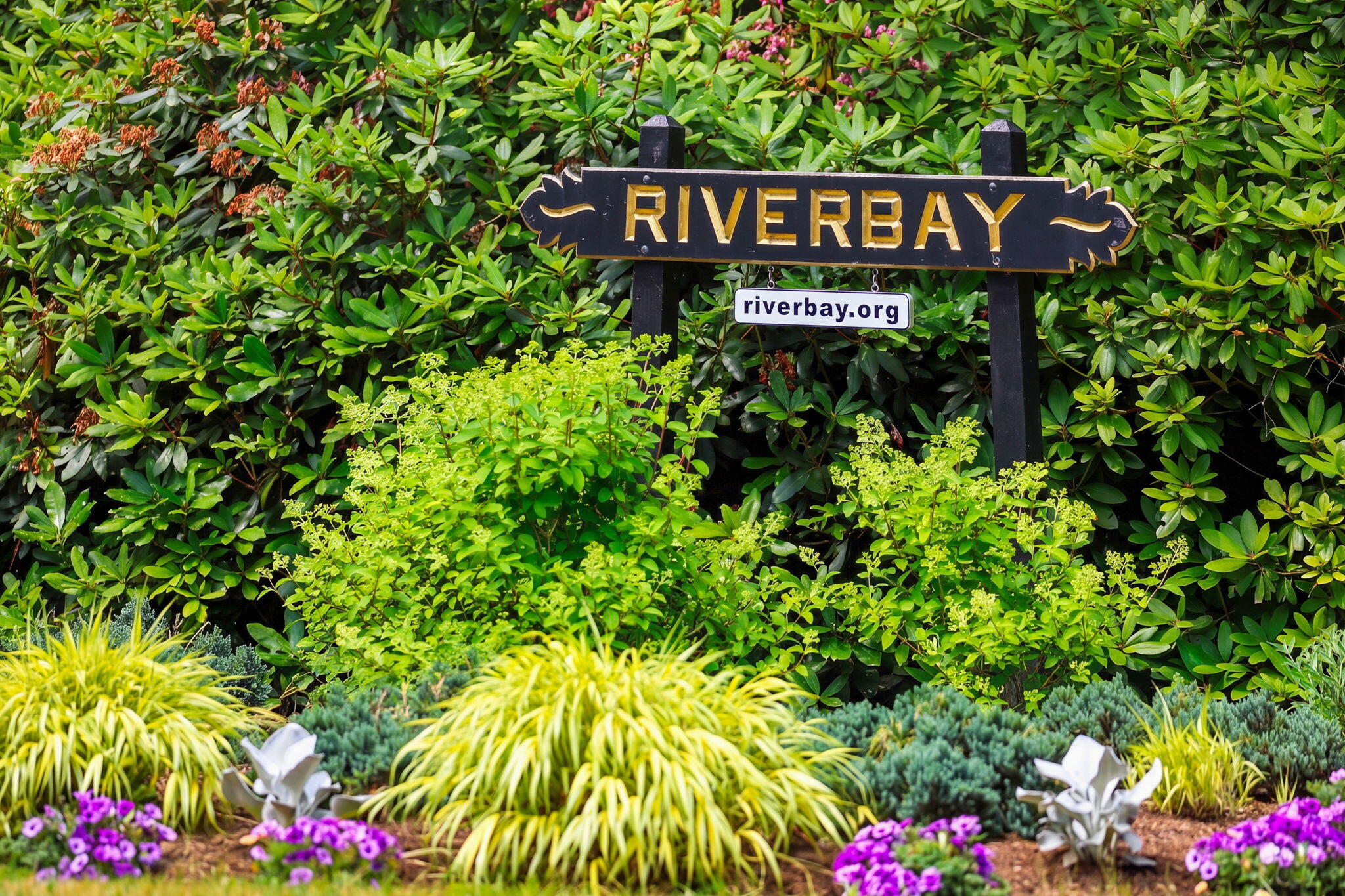 234 Round Cove Road Chatham MA 02633