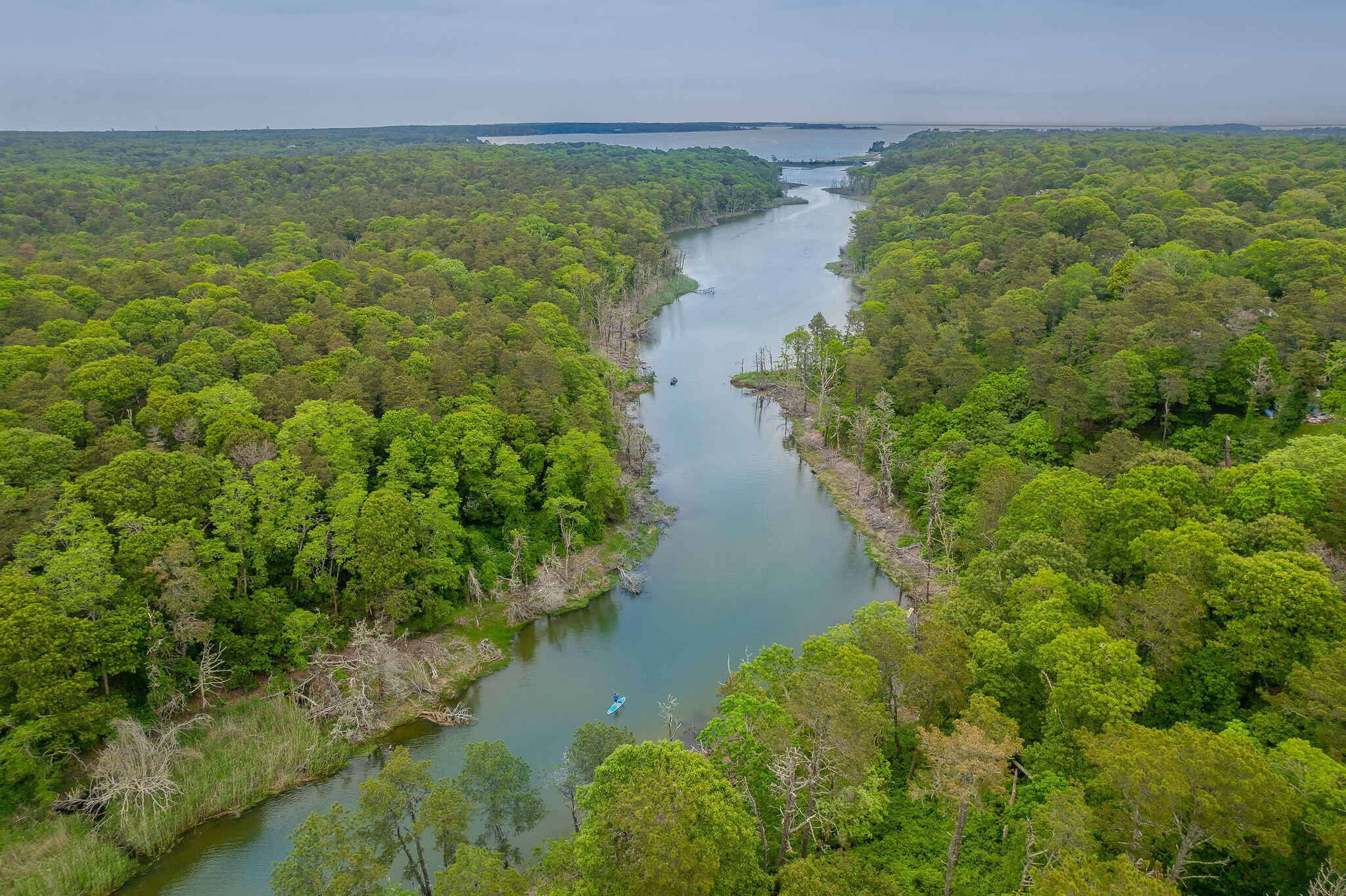 24 Chickadee Circle Chatham MA 02633