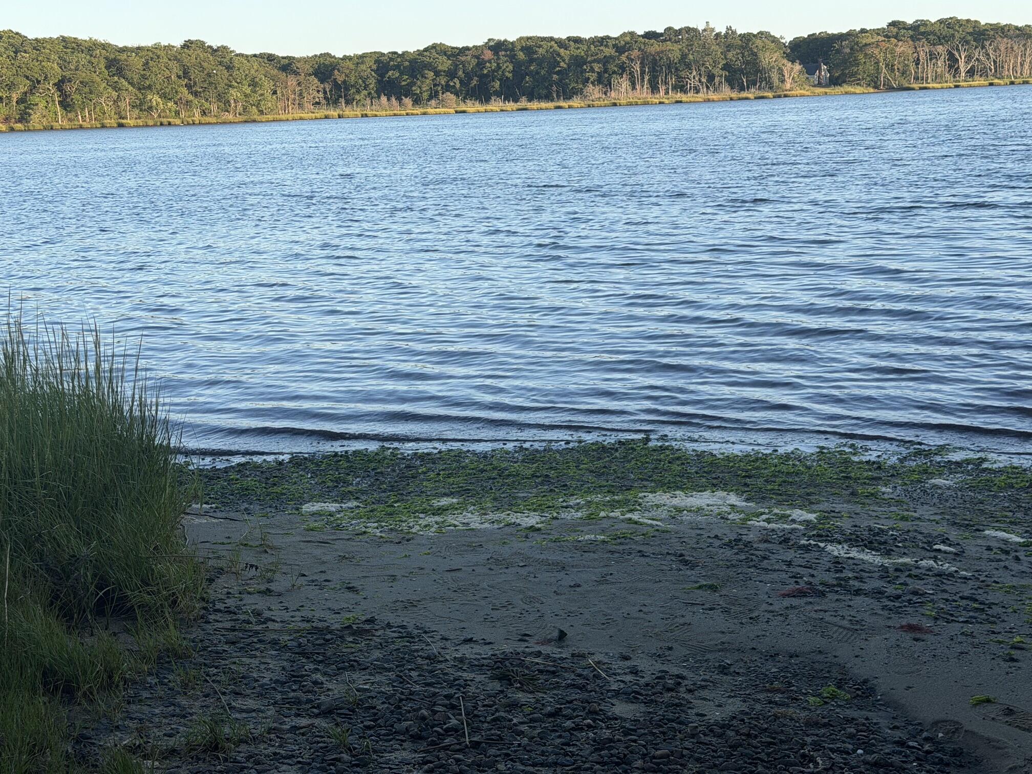 16 Circuit Road West Yarmouth MA 02673