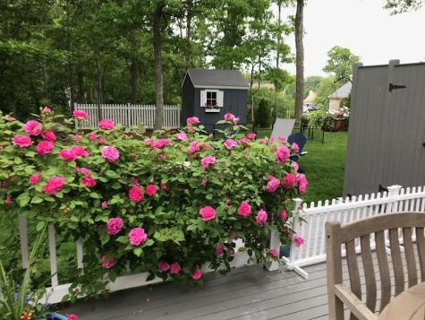 8 Vineyard Lane Harwich MA 02645