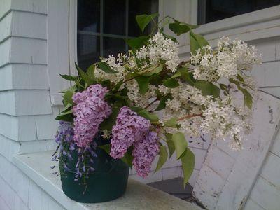 234 Old Main Street South Yarmouth MA 02664