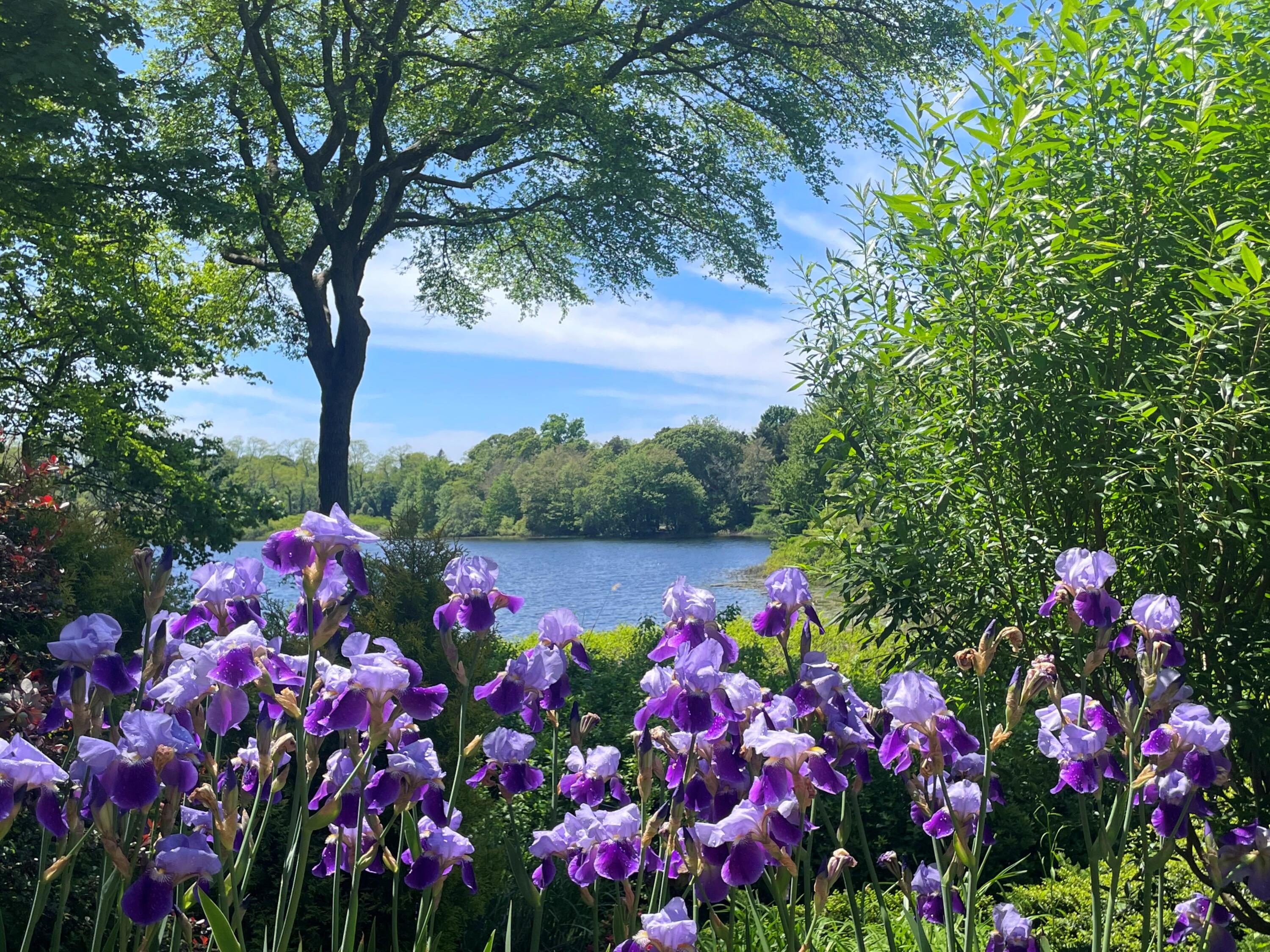 50 Van Dale Road Eastham MA 02642