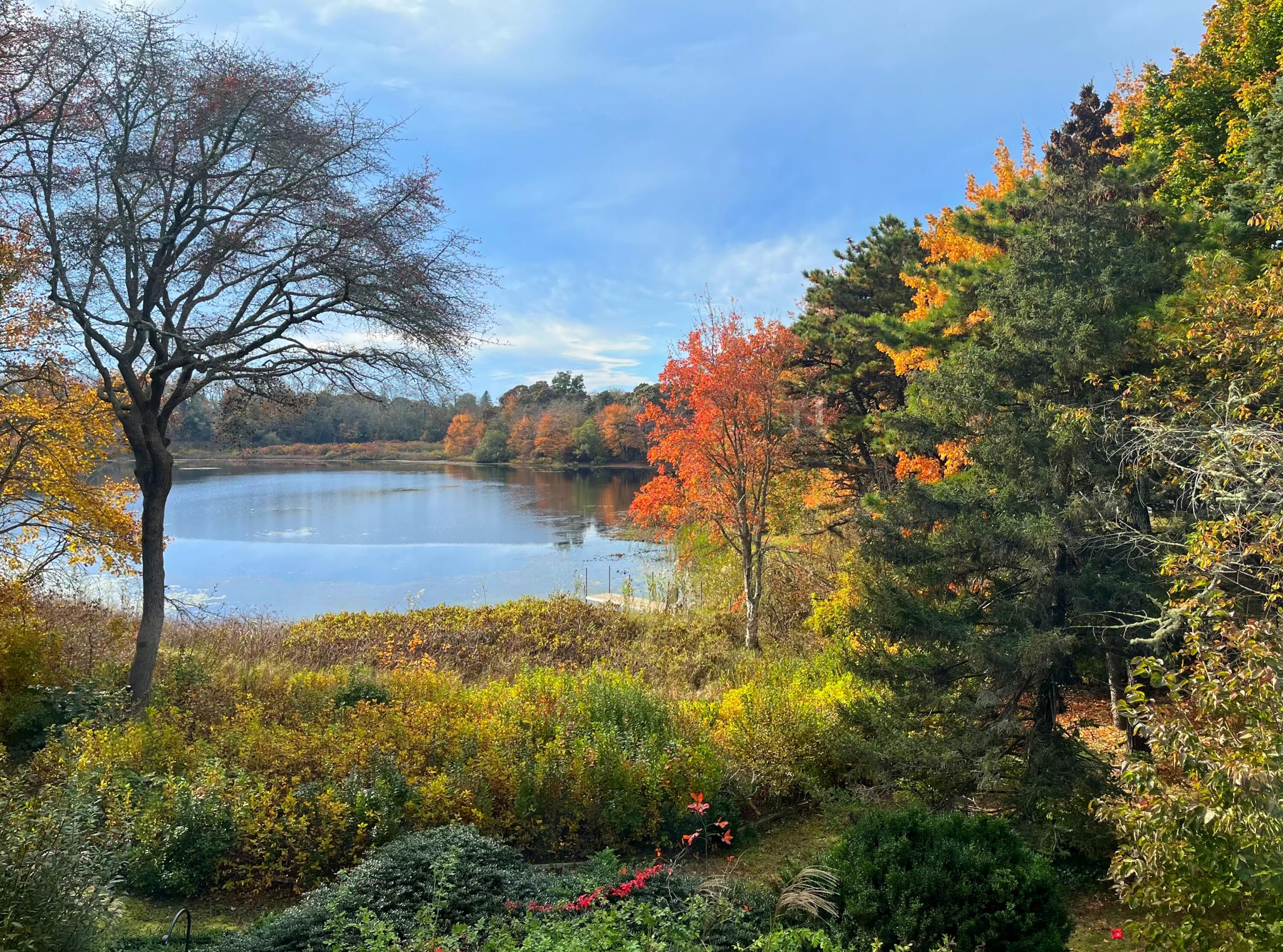 50 Van Dale Road Eastham MA 02642
