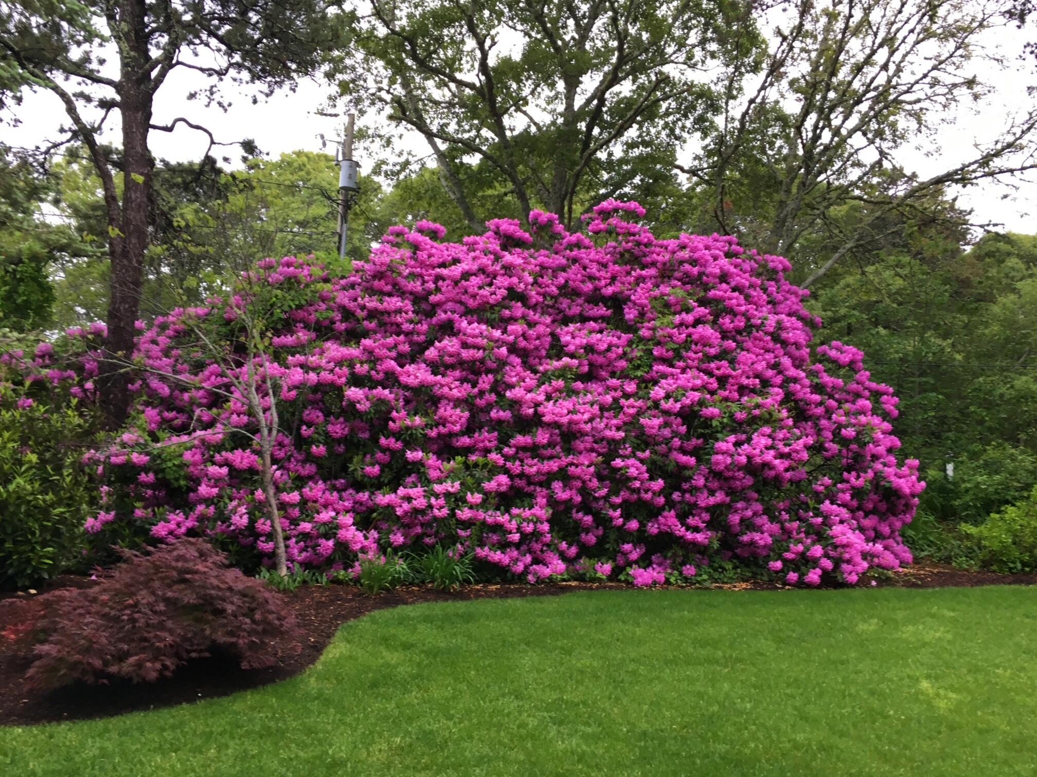 50 Van Dale Road Eastham MA 02642