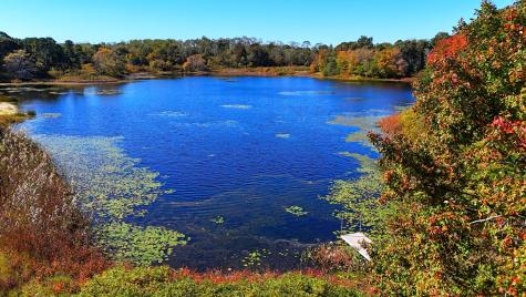 50 Van Dale Road Eastham MA 02642