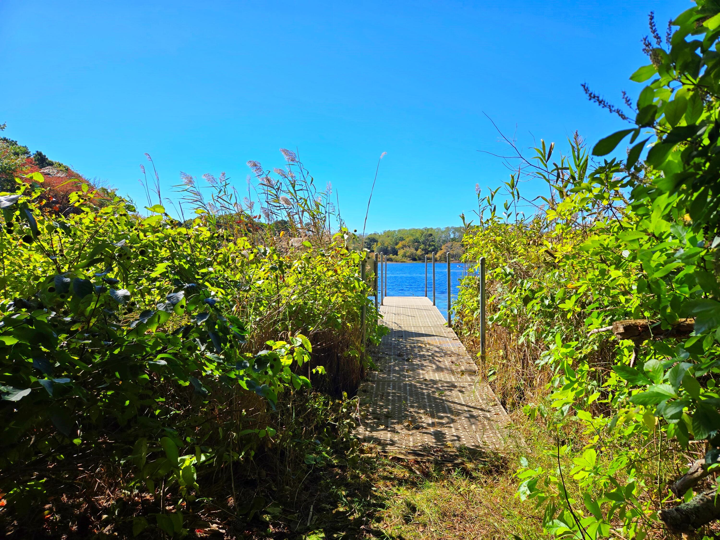 50 Van Dale Road Eastham MA 02642