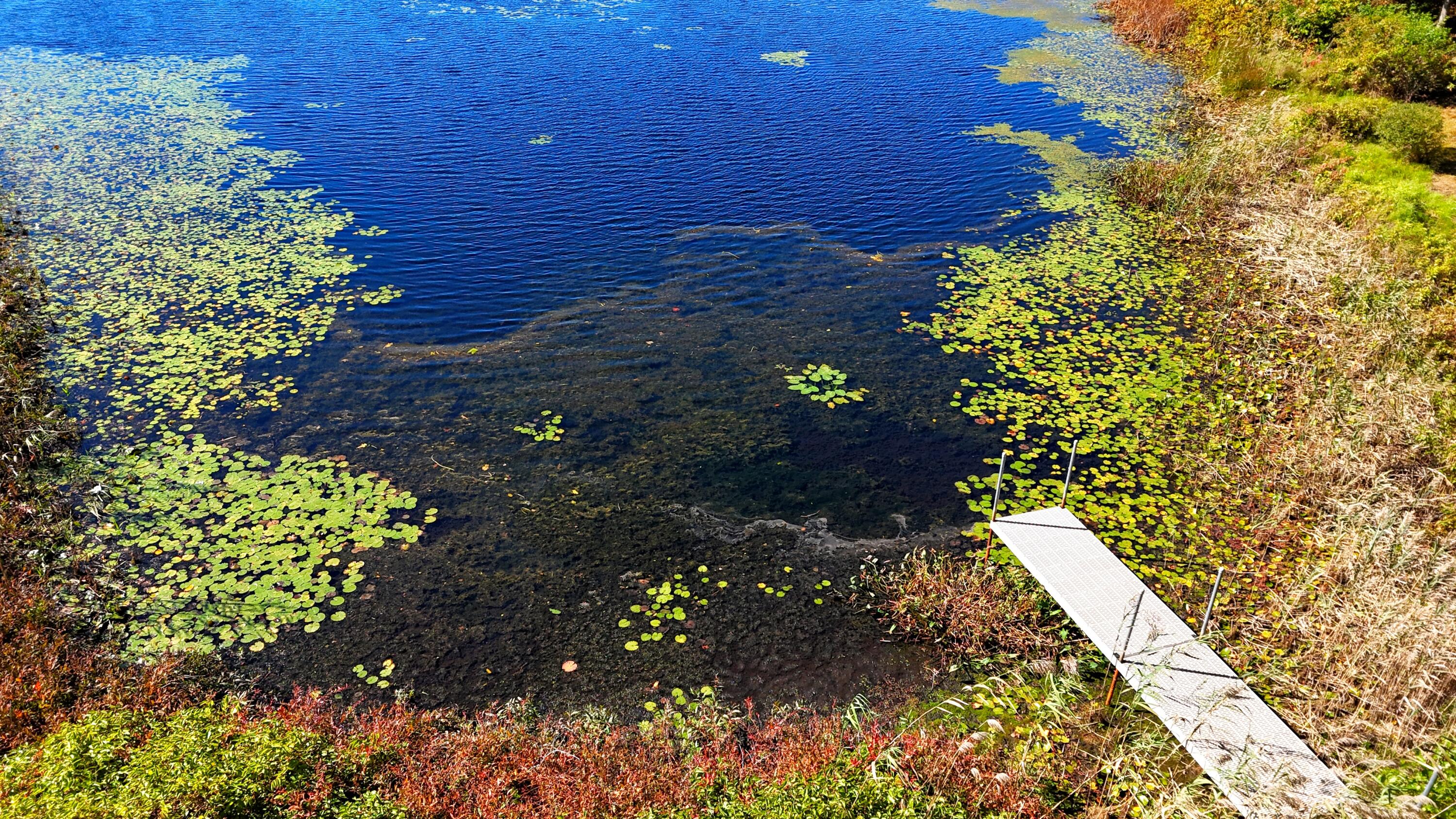 50 Van Dale Road Eastham MA 02642
