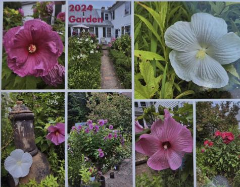 2939 Main Street Barnstable MA 02630