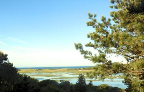 50 5th Avenue Wellfleet MA 02667