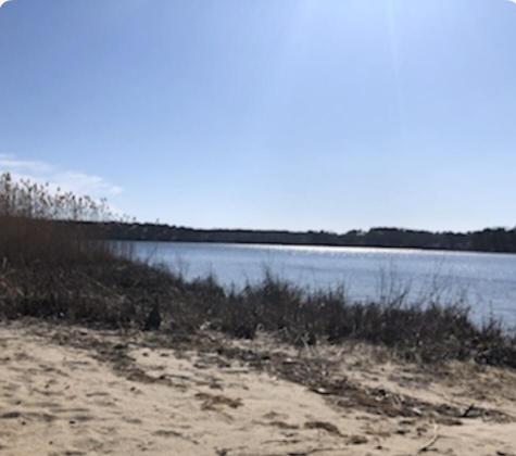 153 Bay Ridge Drive Dennis MA 02660