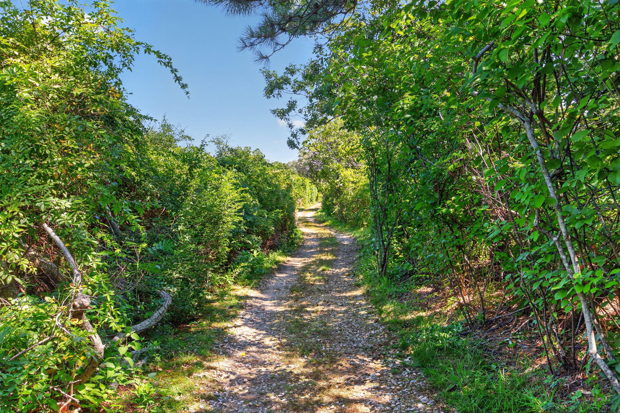 11 Long Hill Drive East Sandwich MA 02537