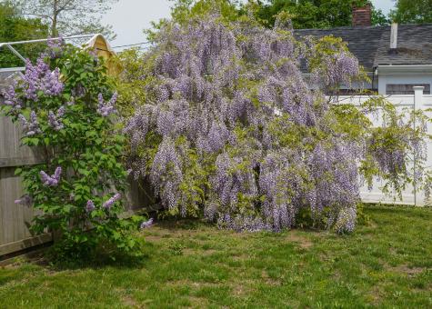 16 Dartmouth Street Barnstable MA 02601