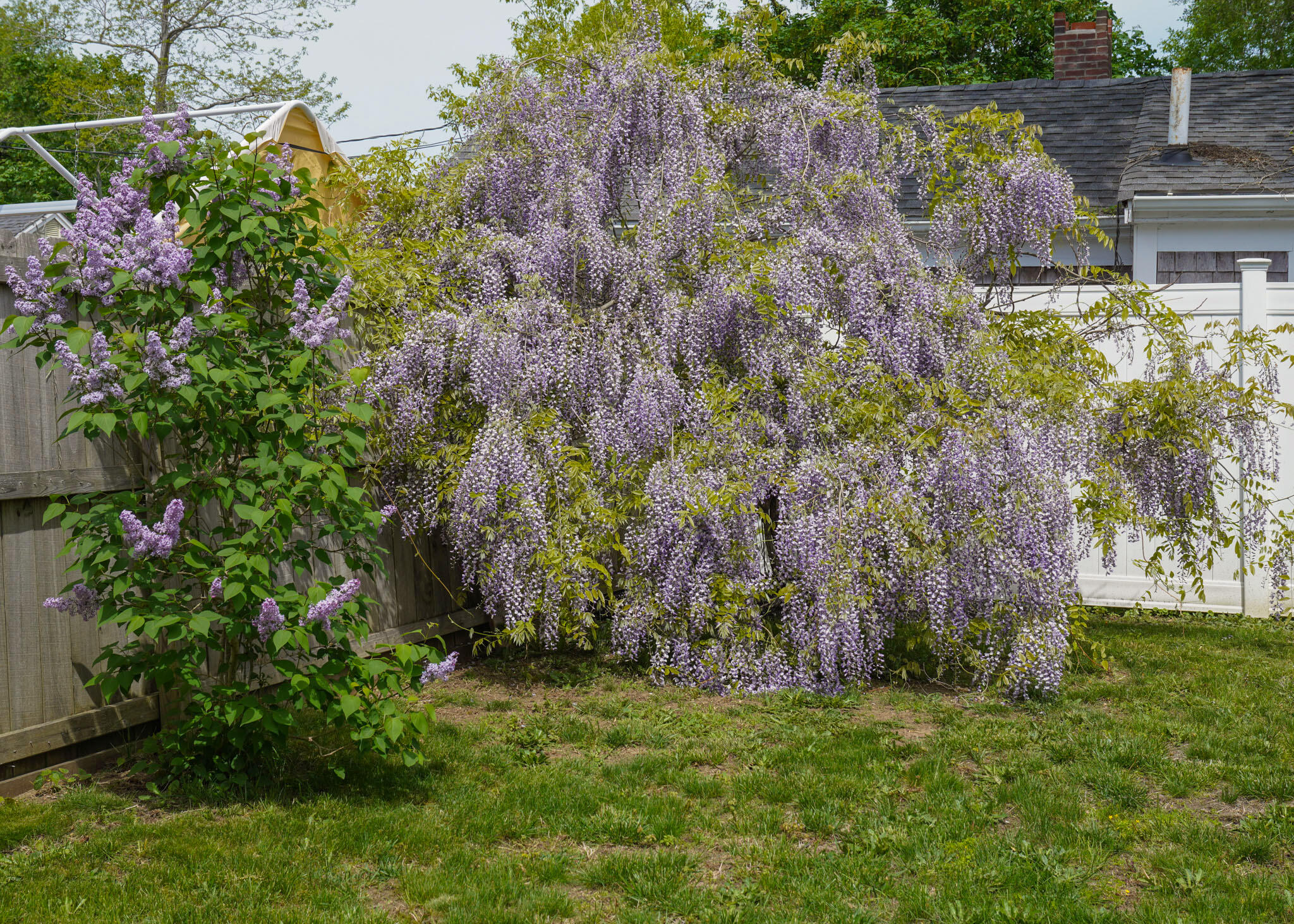 16 Dartmouth Street Barnstable MA 02601