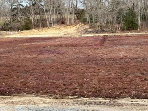 35 Hollidge Hill Lane Barnstable MA 02648