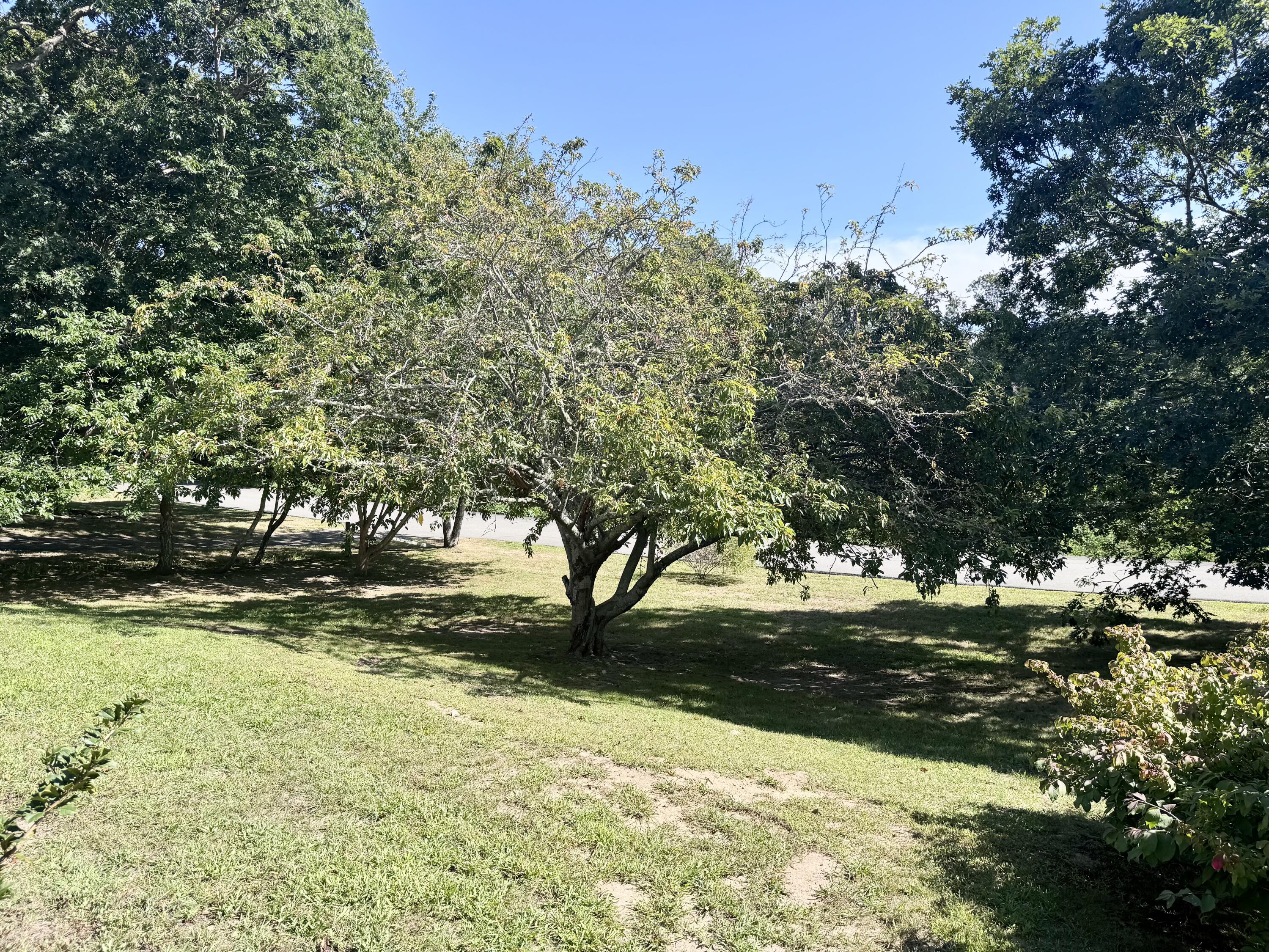 42 Vineyard Avenue Hyannis MA 02601