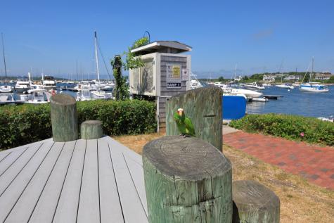 3 Elizabeth Road Pocasset MA 02559