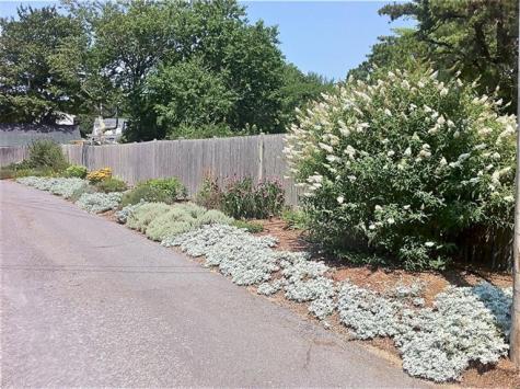 689 Willow Street South Yarmouth MA 02664