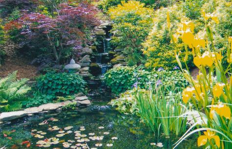 41 Court Street Chatham MA 02650