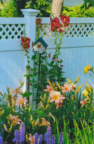 41 Court Street Chatham MA 02650