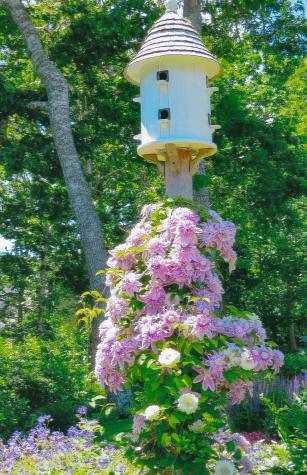 41 Court Street Chatham MA 02650