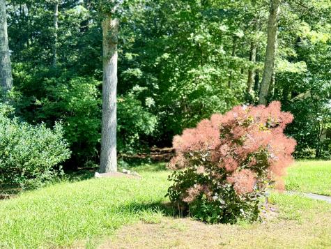 155 Damon Road Brewster MA 02631