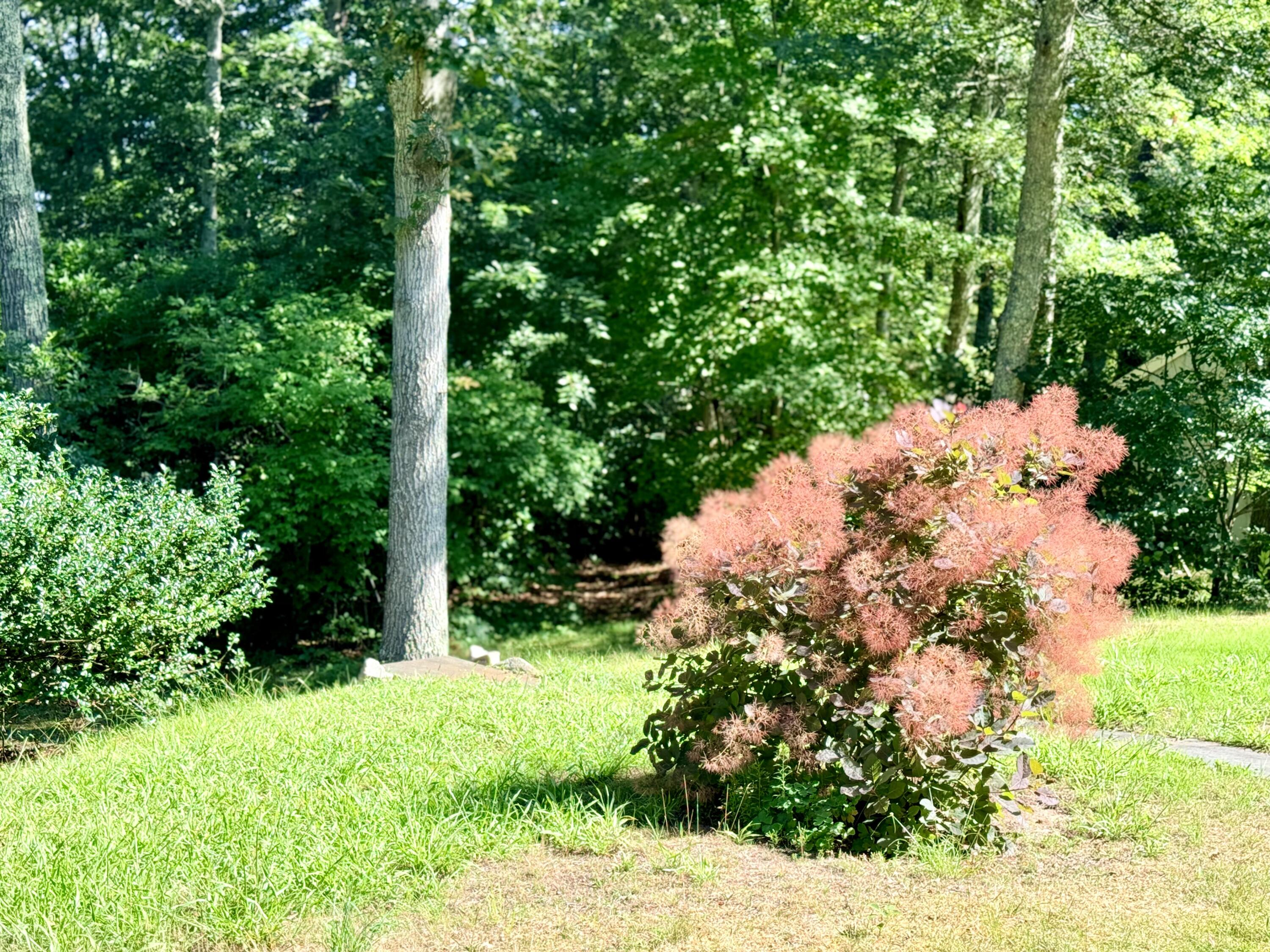155 Damon Road Brewster MA 02631