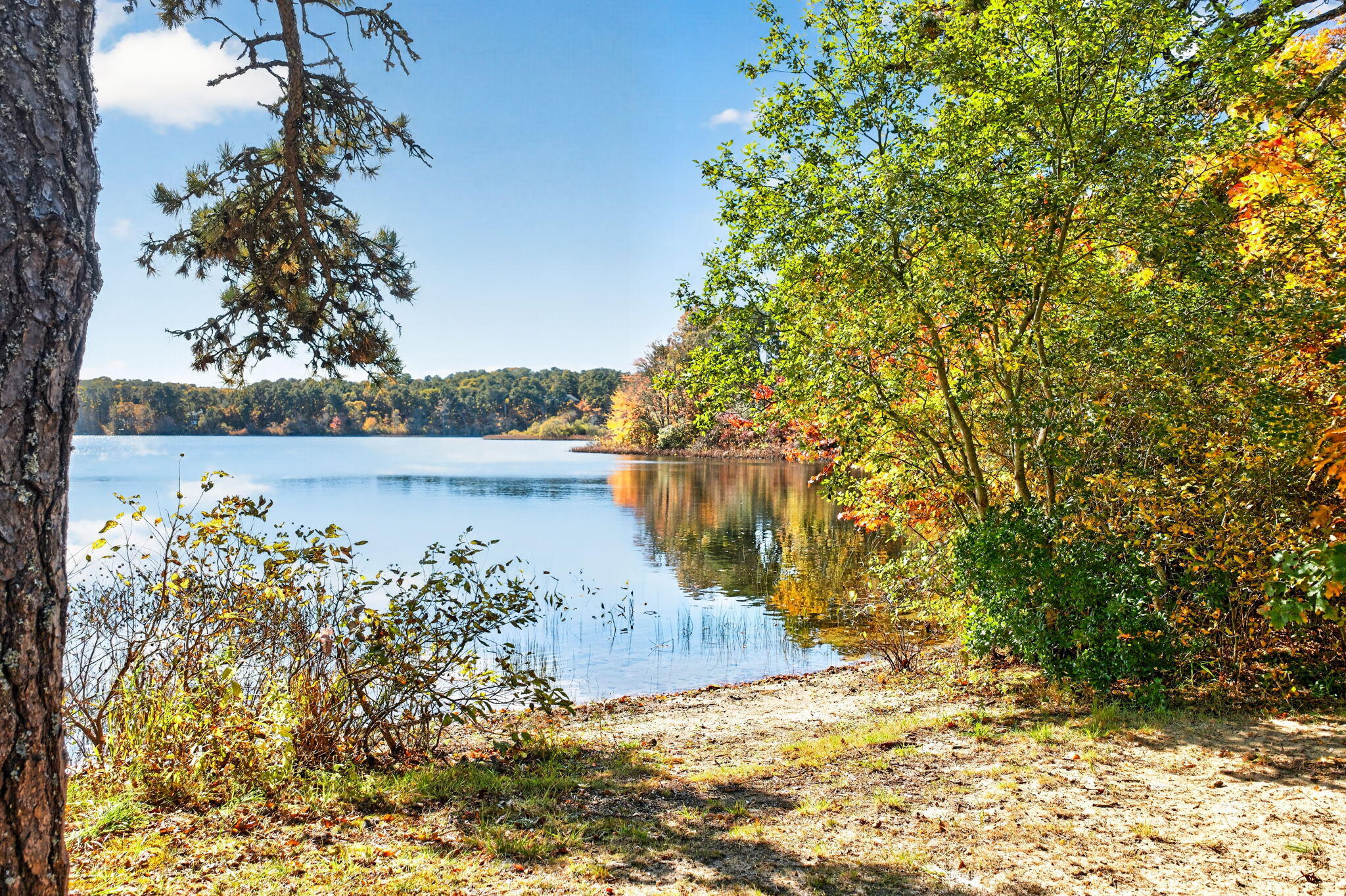 59 Herringbrook Way Orleans MA 02653