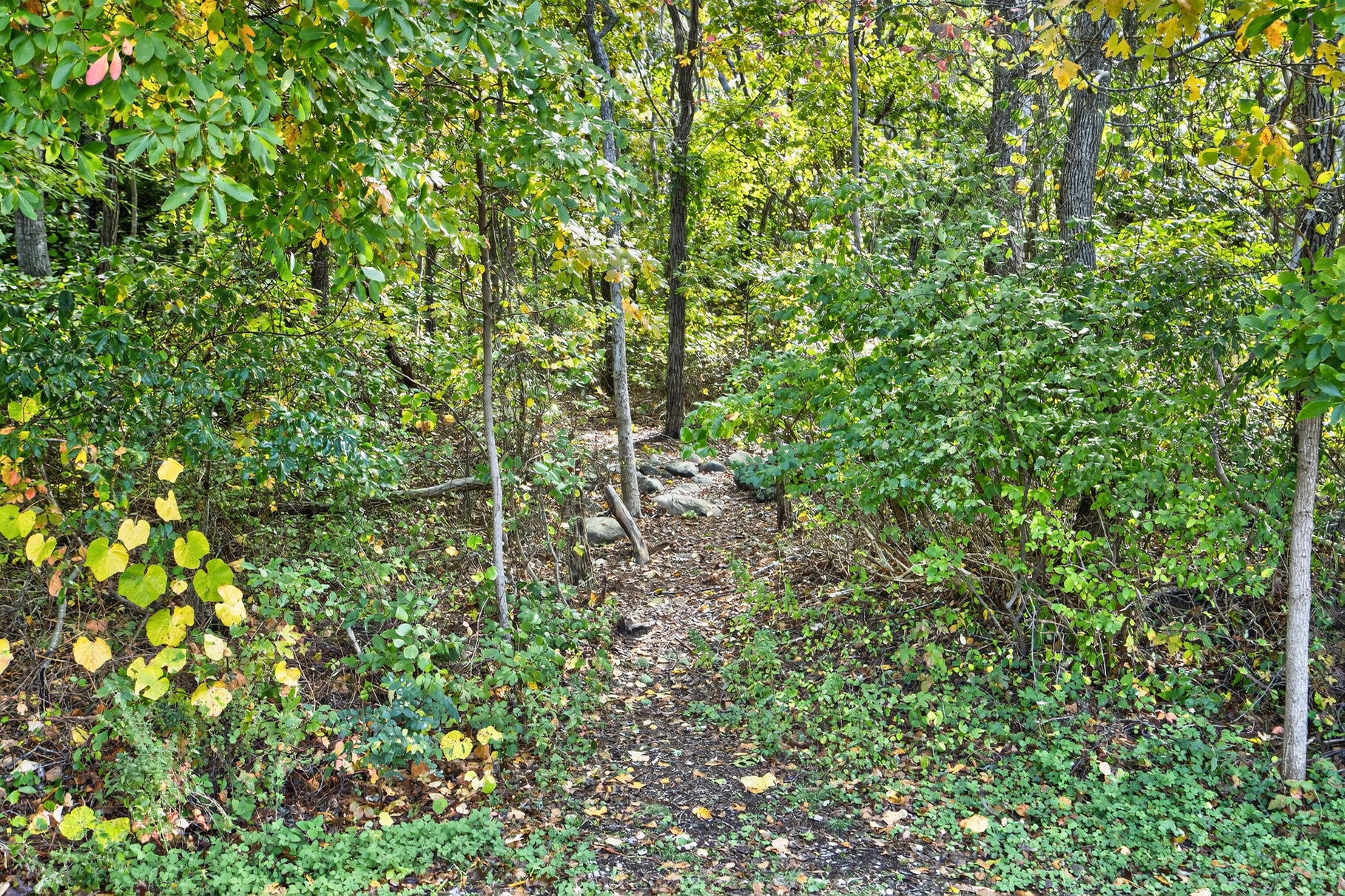 45 Haynes Avenue Falmouth MA 02540