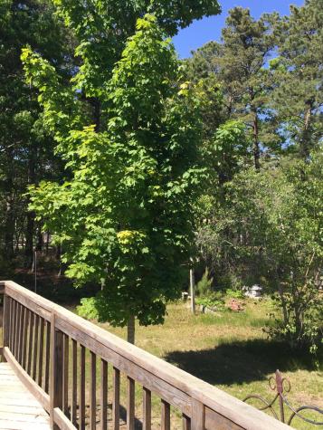 26 Captain Walsh Road Dennis MA 02638
