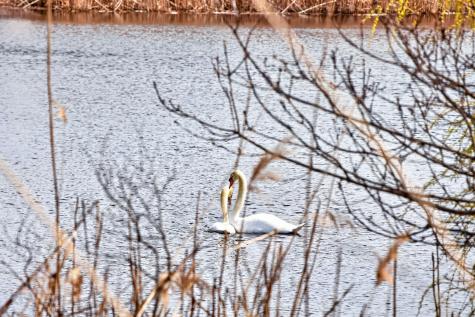 189 Breakwater Shores Drive Barnstable MA 02601