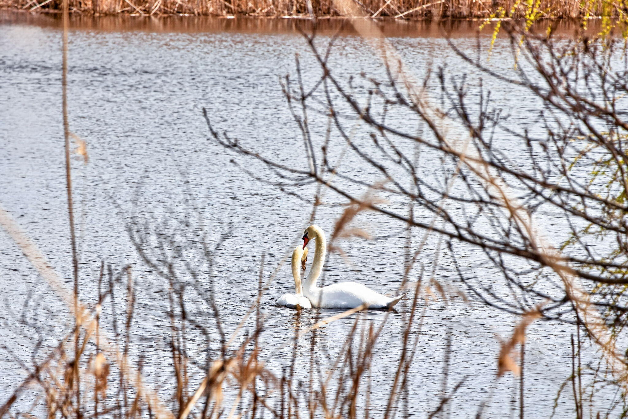 189 Breakwater Shores Drive Barnstable MA 02601