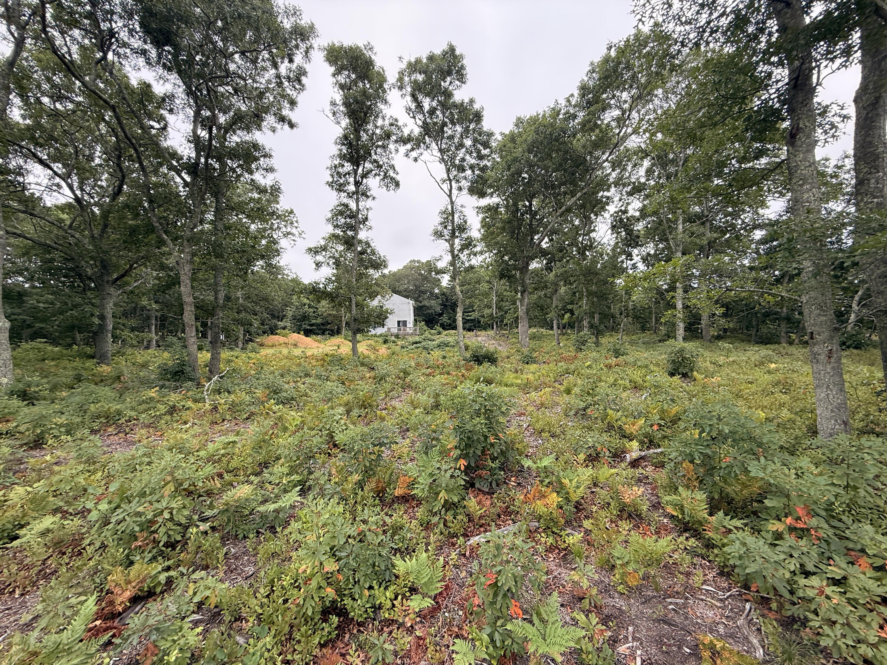 235 Old Chatham Road Brewster MA 02631