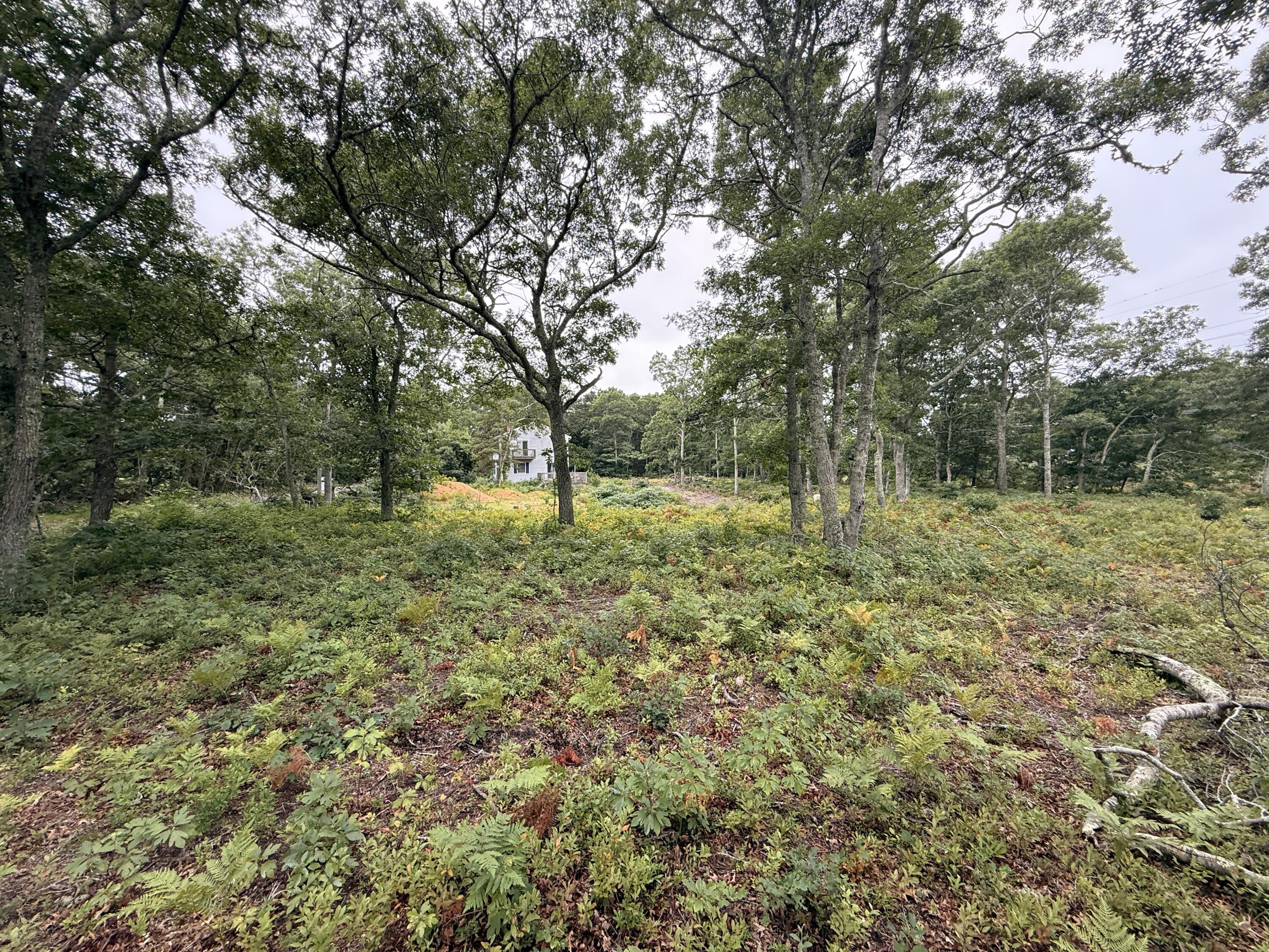235 Old Chatham Road Brewster MA 02631