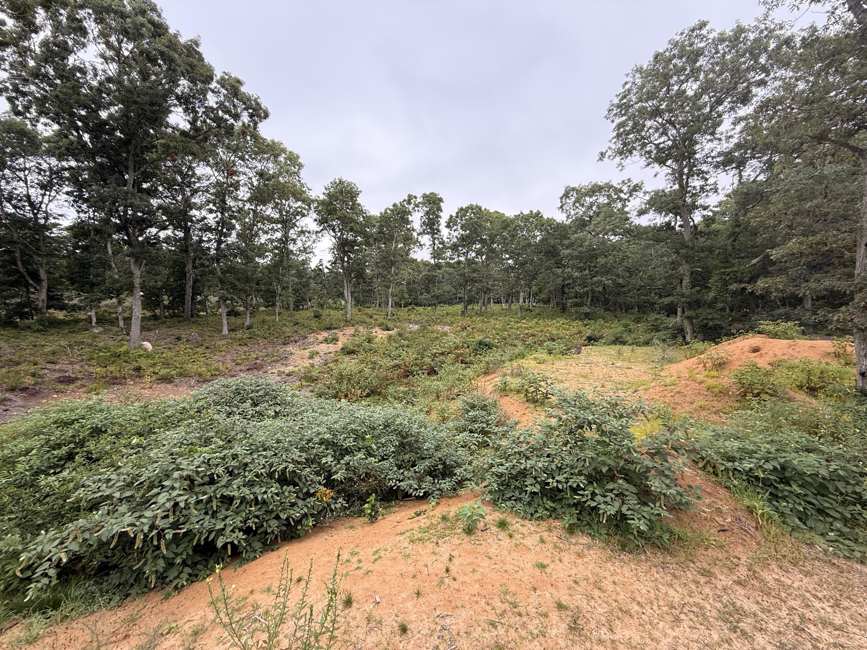 235 Old Chatham Road Brewster MA 02631