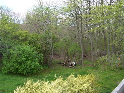 Eastham MA 02642