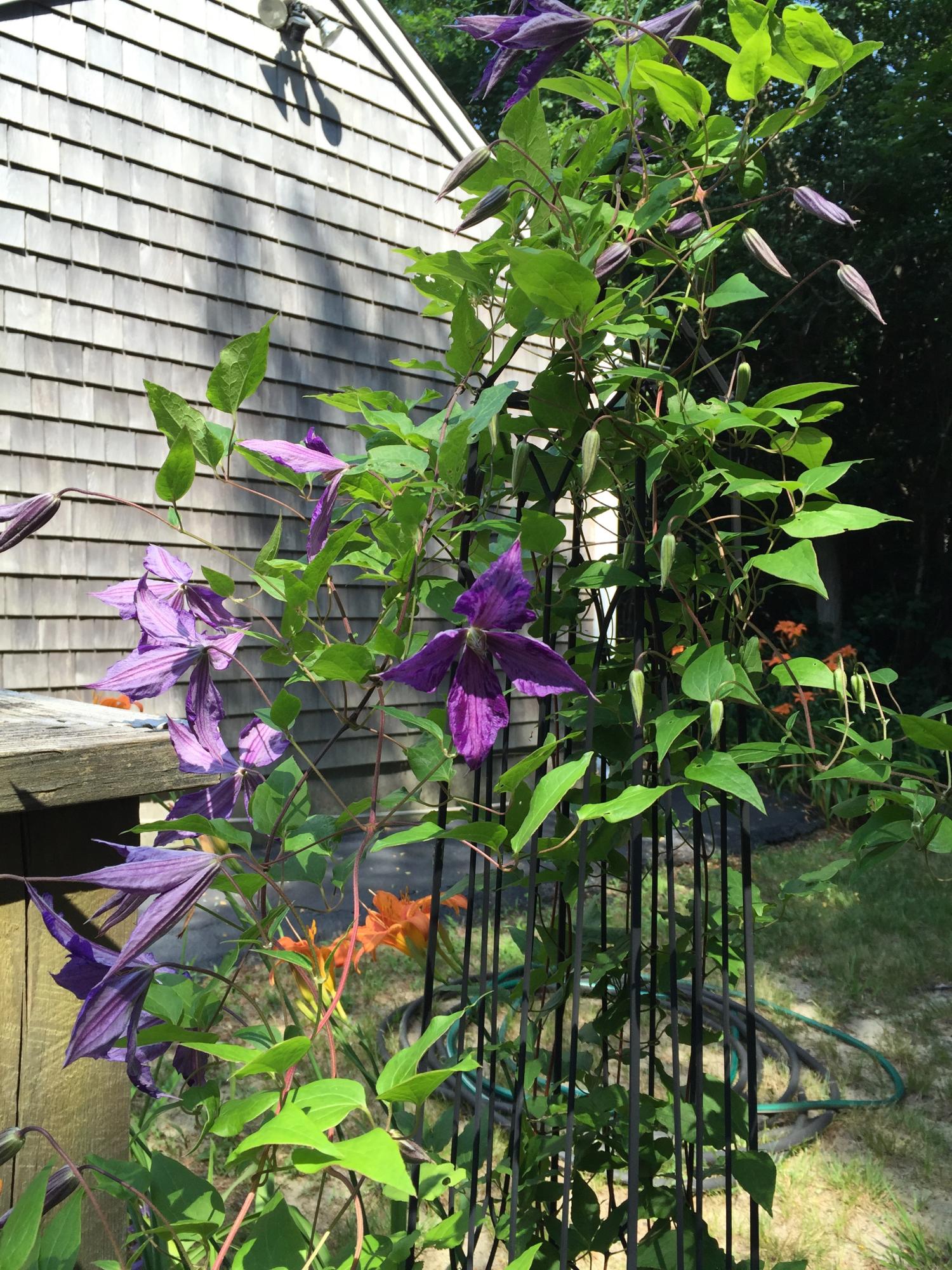 177 Division Street Harwich MA 02645