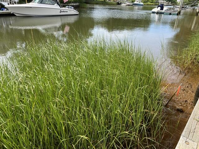 24 Spoondrift Way Mashpee MA 02649