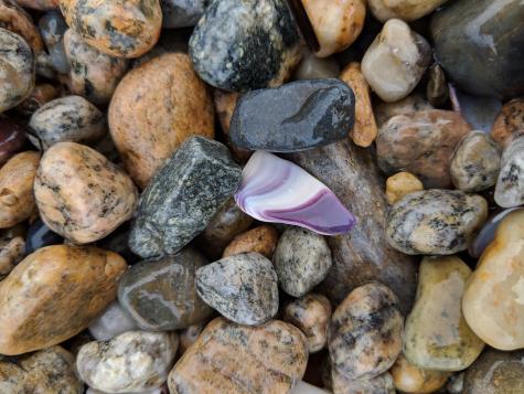 24 Spoondrift Way Mashpee MA 02649